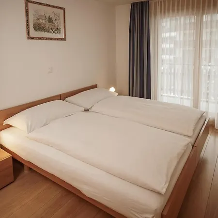 Haus Mischabel شقة زيرمات